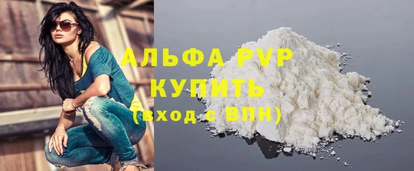 PSILOCYBIN Великий Новгород