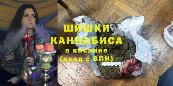PSILOCYBIN Великий Новгород