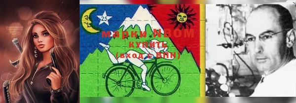 PSILOCYBIN Великий Новгород
