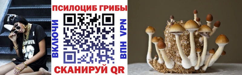 Псилоцибиновые грибы Psilocybine cubensis  Топки 